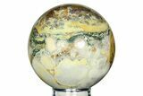 Polished Orbicular King Cobra Jasper Sphere - India #311572-1